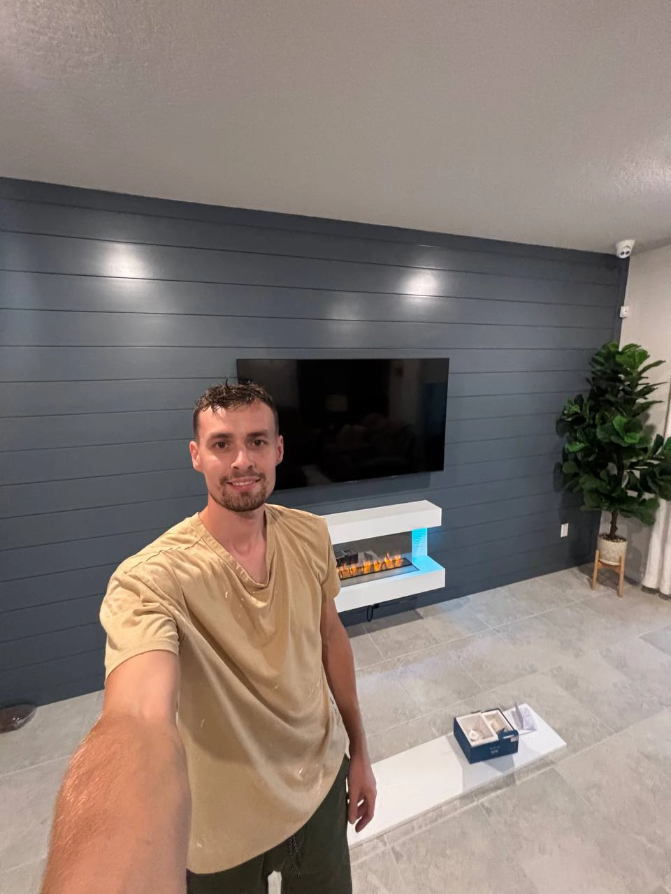 TV Mount Example 1