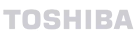 Toshiba TV mounting service