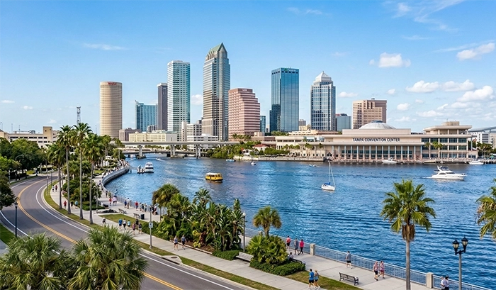 TV Mounting Tampa Bay